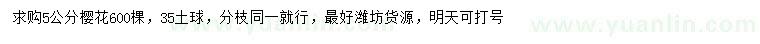 求購(gòu)5公分櫻花