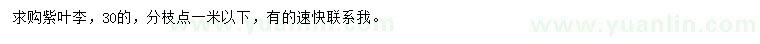 求購30公分紫葉李