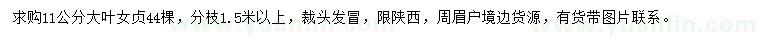 求購(gòu)11公分大葉女貞