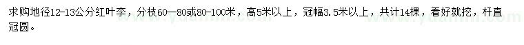求購地徑12-13公分紅葉李