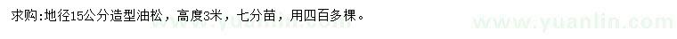 求購地徑15公分造型油松