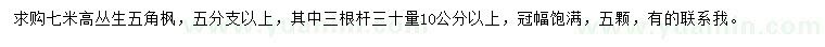 求購高7米叢生五角楓