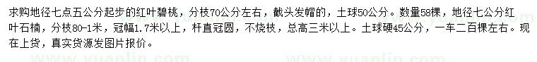 求購(gòu)地徑7.5公分起步紅葉碧桃、地徑7公分紅葉石楠