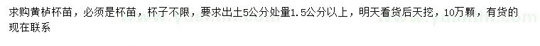 求購5公分量1.5公分以上黃櫨