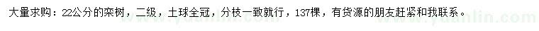 求購22公分欒樹