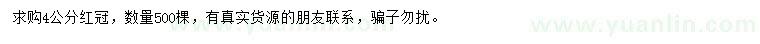 求購4公分紅冠