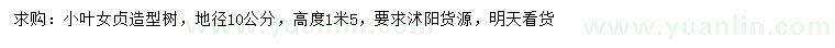 求購地徑10公分小葉女貞造型樹