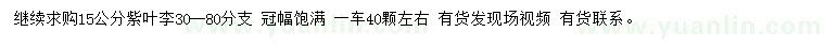 求購15公分紫葉李