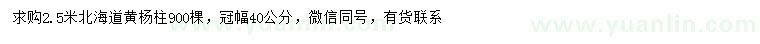 求購(gòu)2.5米北海道黃楊柱