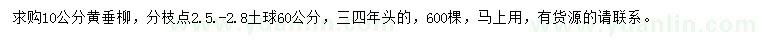 求購10公分黃垂柳