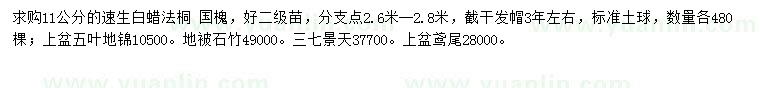 求購速生白蠟、法桐、國槐等