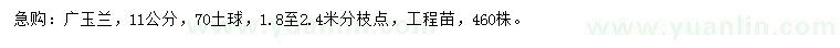 求購11公分廣玉蘭