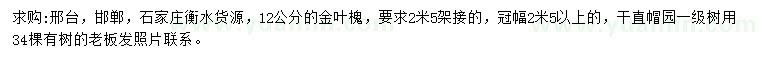 求購12公分金葉槐