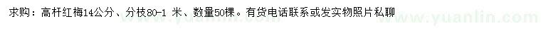 求購14公分紅梅