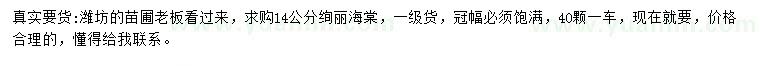 求購14公分絢麗海棠