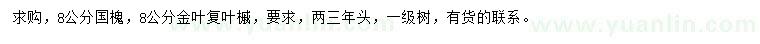 求購(gòu)8公分國(guó)槐、金葉復(fù)葉槭