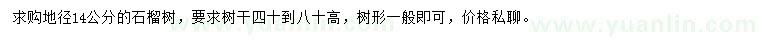 求購地徑14公分石榴樹
