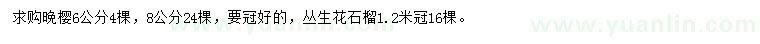 求購6、8公分晚櫻、冠1.2米叢生花石榴