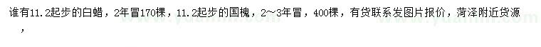 求購(gòu)11.2公分起步白蠟、國(guó)槐