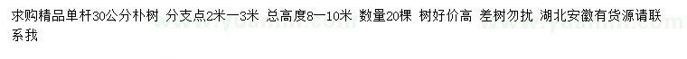求購30公分樸樹