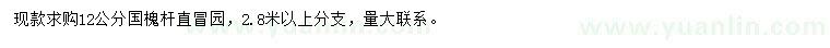 求購12公分國槐