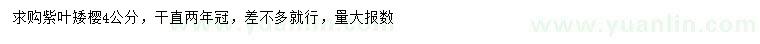 求購4公分紫葉矮櫻