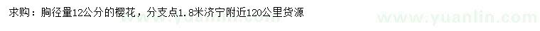 求購(gòu)胸徑12公分櫻花