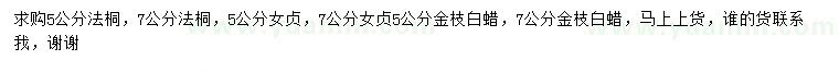 求購法桐、女貞、金枝白蠟