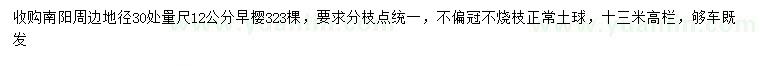 求購30量12公分早櫻