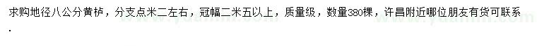 求購地徑8公分黃櫨