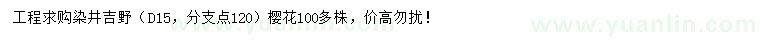 求購(gòu)地徑15公分染井吉野櫻花