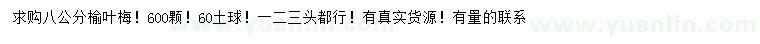 求購(gòu)8公分榆葉梅