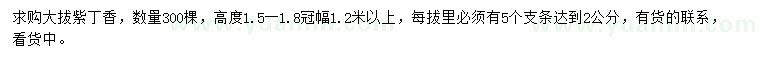 求購(gòu)高1.5-1.8米紫丁香