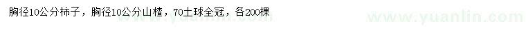 求購胸徑10公分柿子、核桃