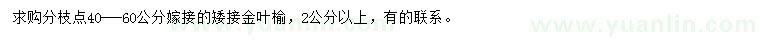 求購(gòu)2公分以上金葉榆