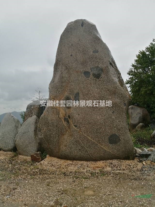 大型刻字鹅卵石