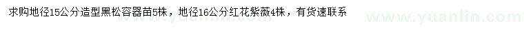 求購(gòu)地徑15公分造型黑松、地徑16公分紅花紫薇