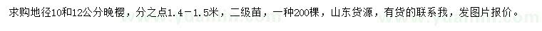 求購地徑10、12公分晚櫻