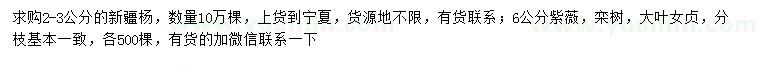 求購新疆楊、紫薇、欒樹等