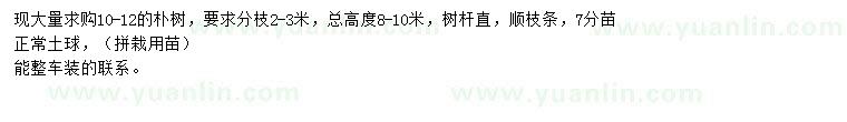 求購(gòu)10-12公分樸樹(shù)