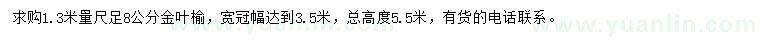 求購1.3米量8公分金葉榆