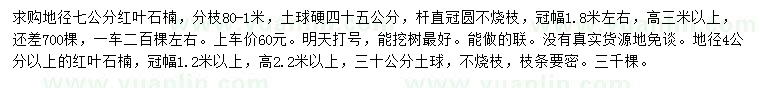 求購地徑7公分紅葉石楠4、