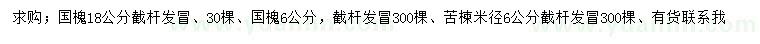 求購(gòu)6、18公分國(guó)槐、米徑6公分苦楝