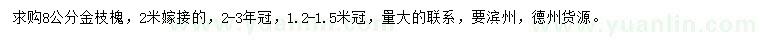 求購8公分金枝槐
