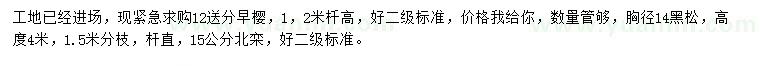 求購早櫻、黑松、北欒
