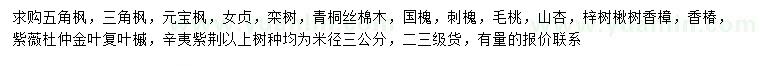 求購五角楓、三角楓、元寶楓等