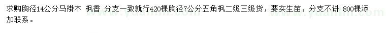 求購(gòu)馬褂木、楓香、五角楓