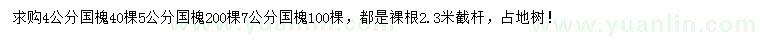 求購4、5、7公分國槐