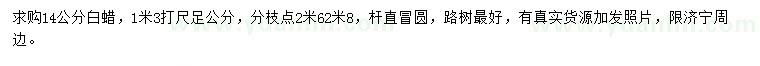 求購1.3米量14公分白蠟