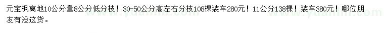 求購10公分量8、11公分元寶楓